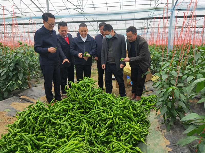 6731������Ϸ(�й���)-�ٷ���վ