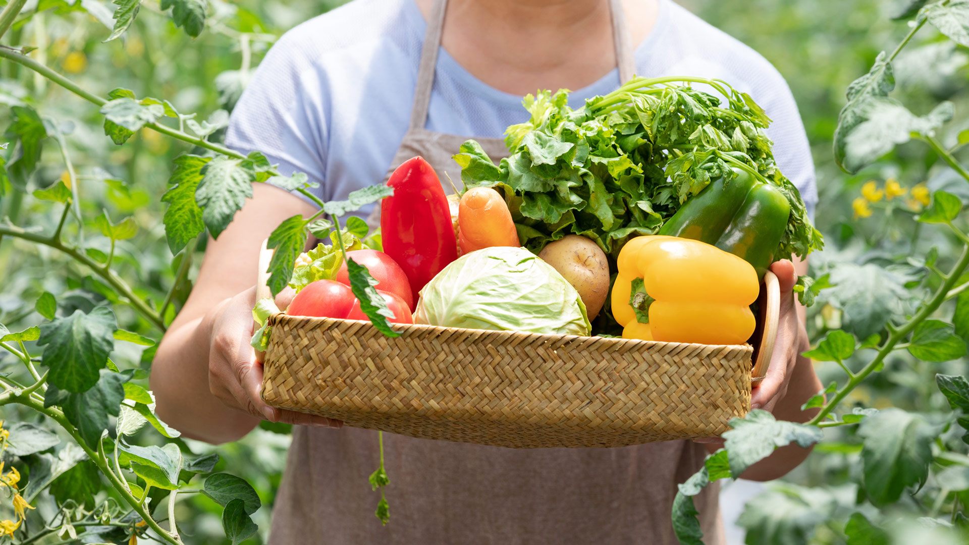 6731������Ϸ(�й���)-�ٷ���վ