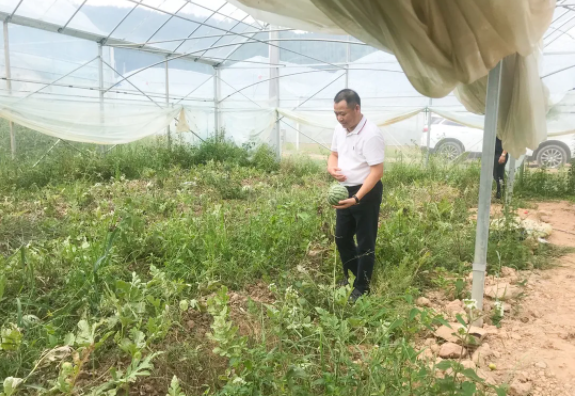 6731������Ϸ(�й���)-�ٷ���վ