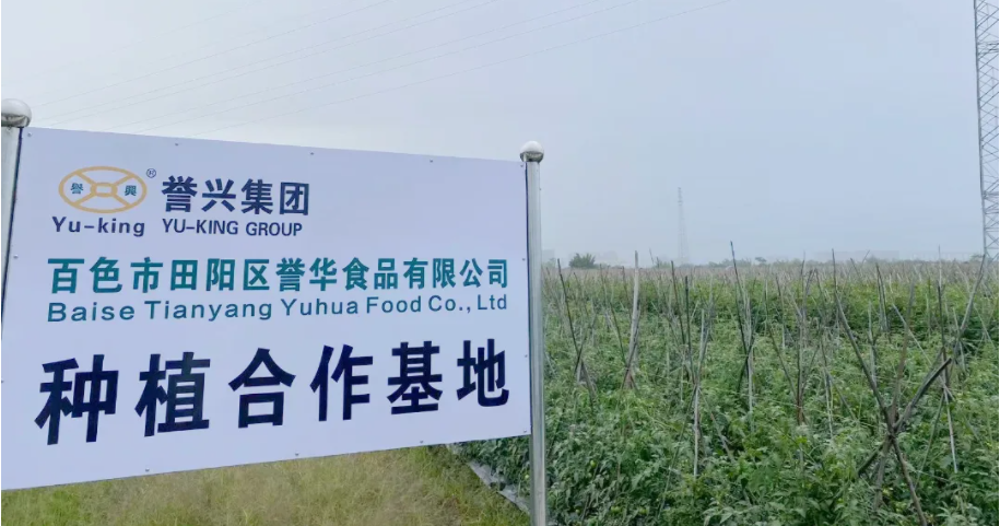 6731������Ϸ(�й���)-�ٷ���վ