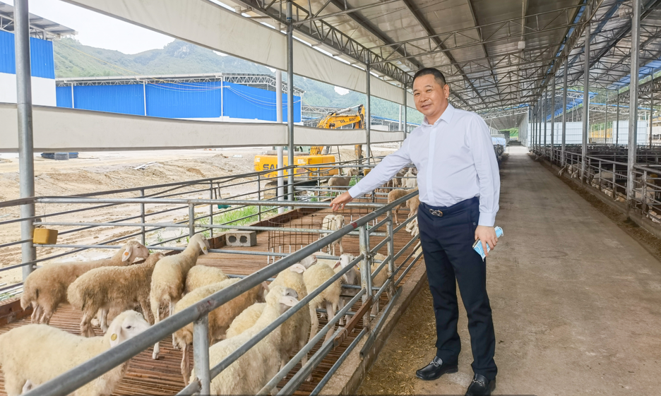 6731������Ϸ(�й���)-�ٷ���վ