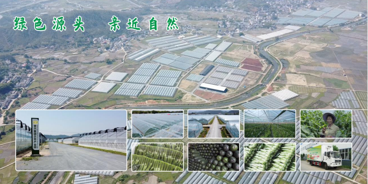 1600944236131432.png ÐÂׯ.png