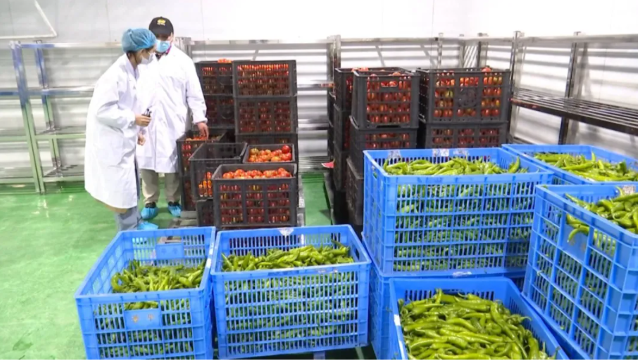 1623718226120002.png image.png