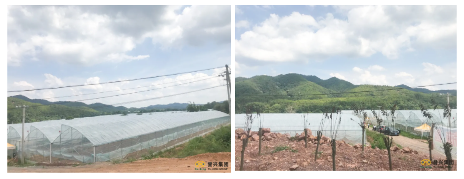 1627283037639565.png image.png