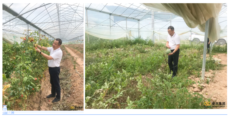 1627283119185112.png image.png