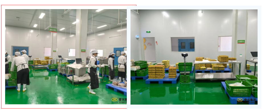 1636341275184562.png image.png