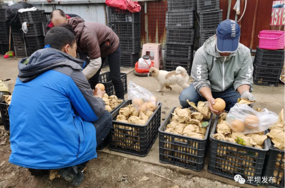 1638761302162653.png image.png