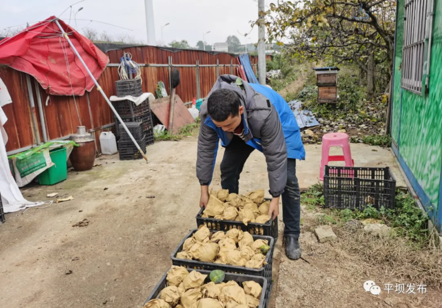 1638761352490340.png image.png