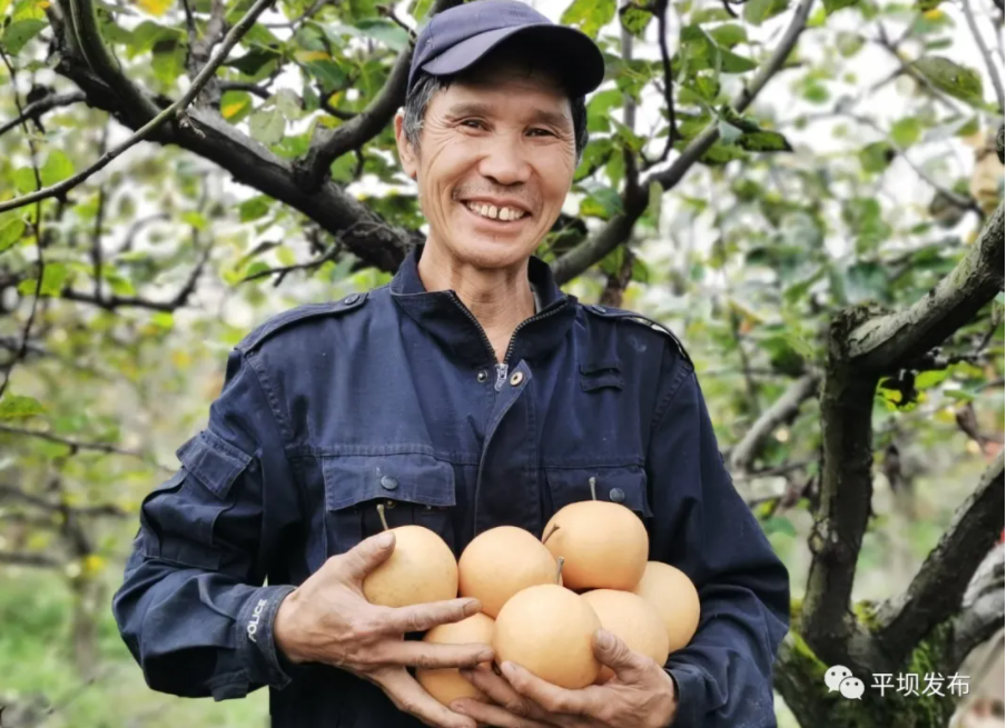 1638762867167988.png image.png