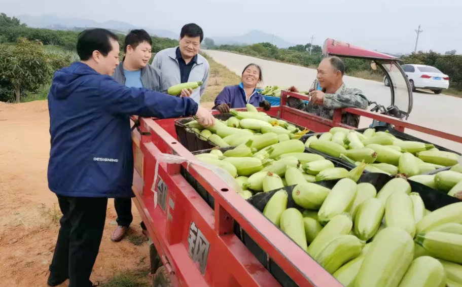 1638770896208279.png image.png