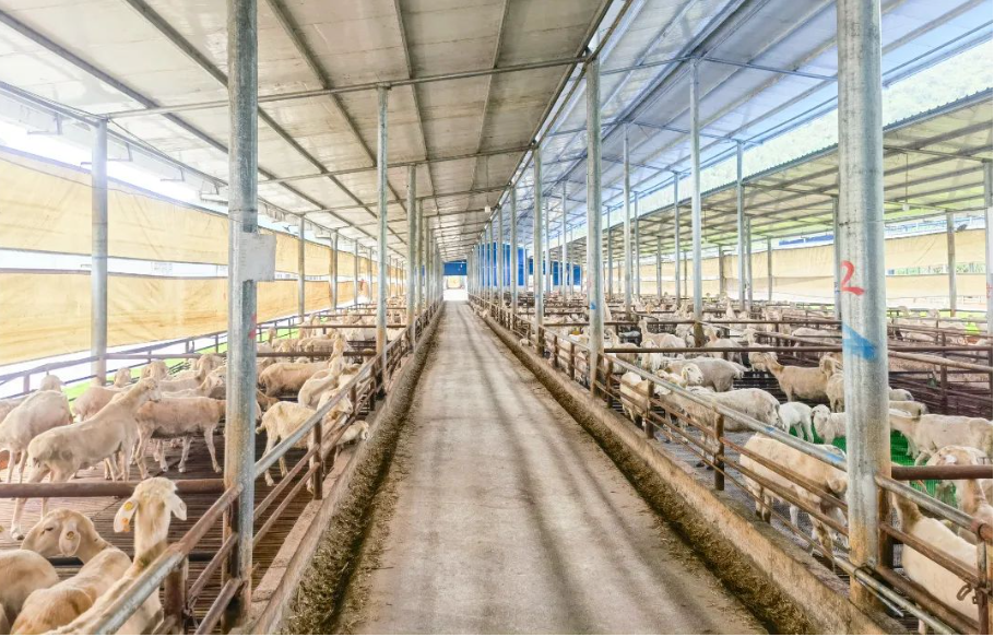 1657674930199983.png image.png