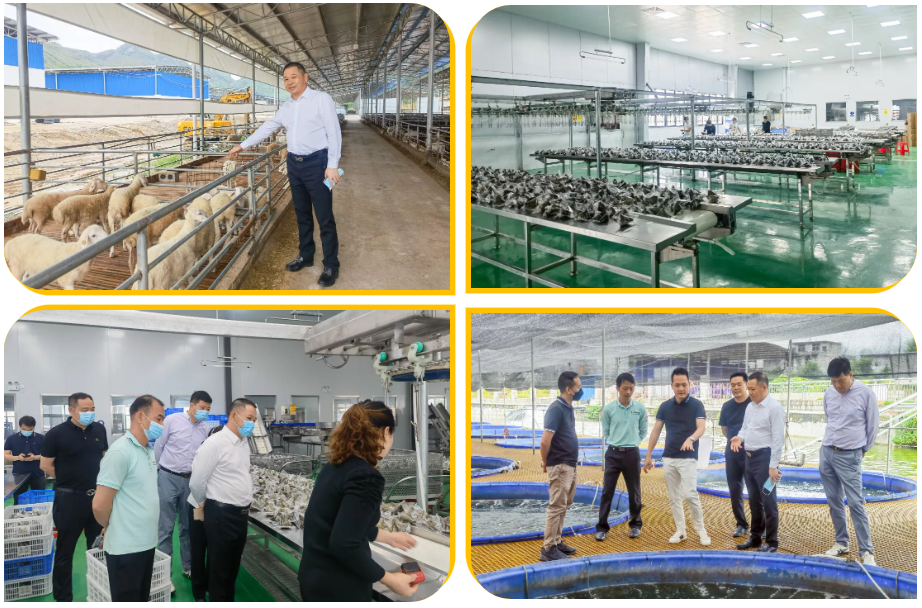 1657674977159331.png image.png